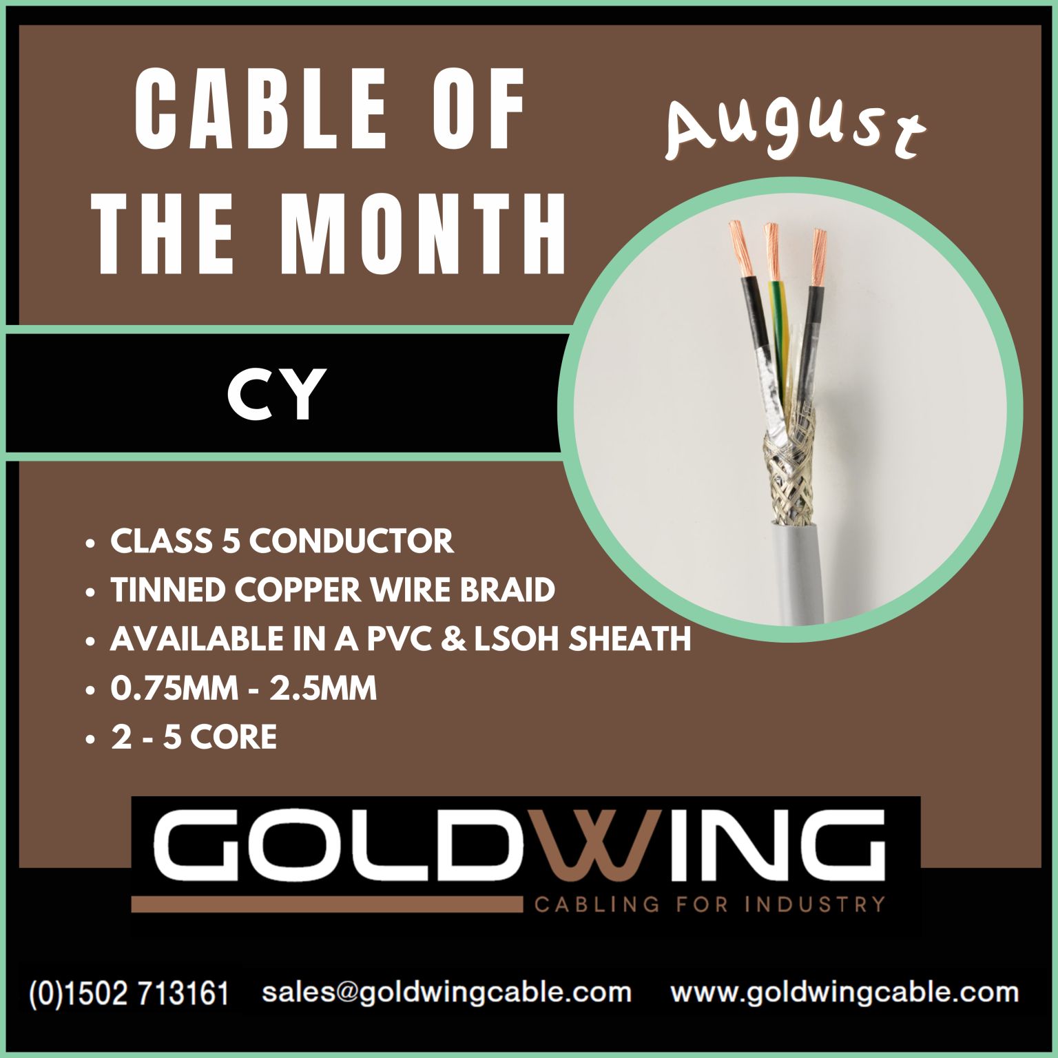 August cable of the Month - CY