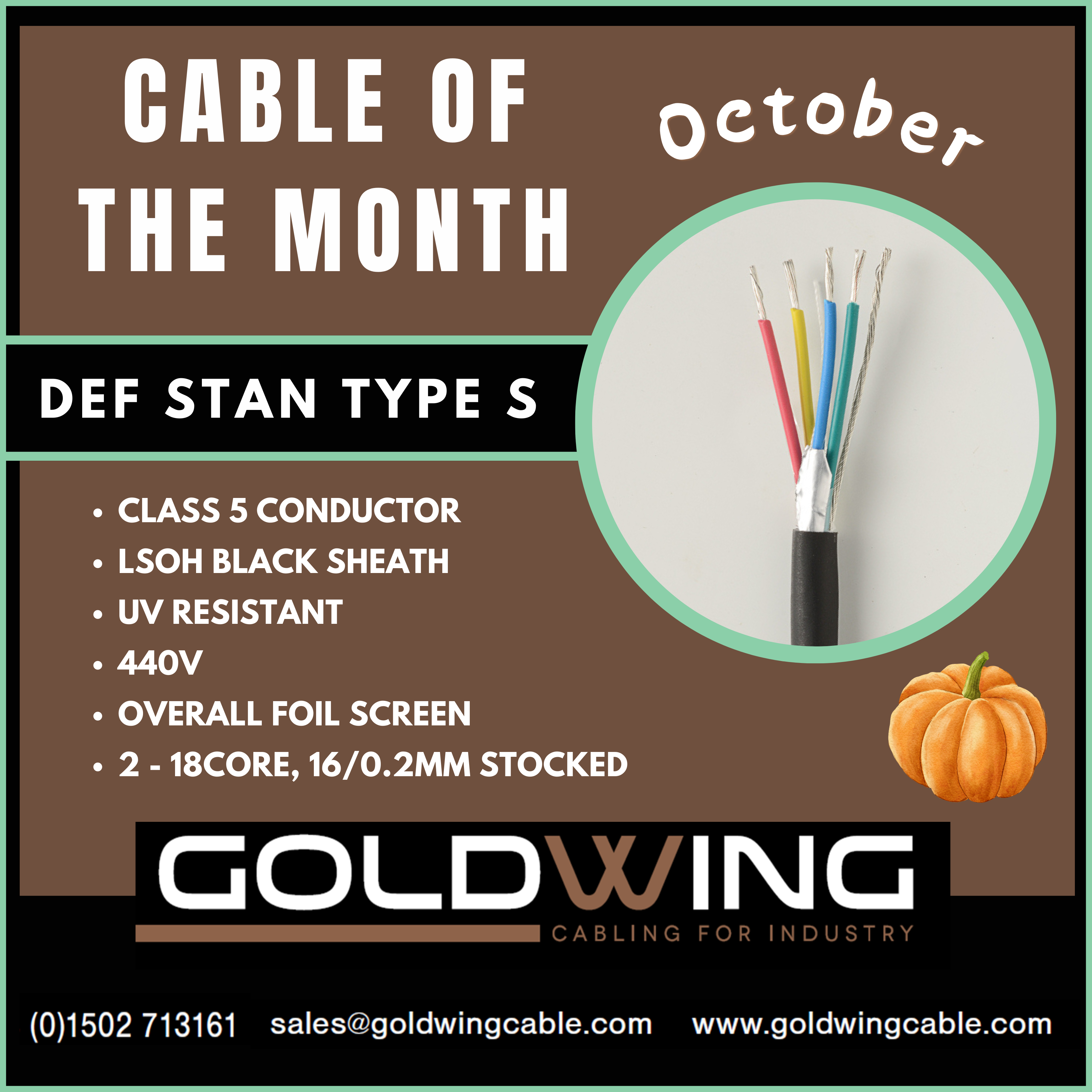 Graphic showing October's Cable of the Month - DEF STAN TYPE S